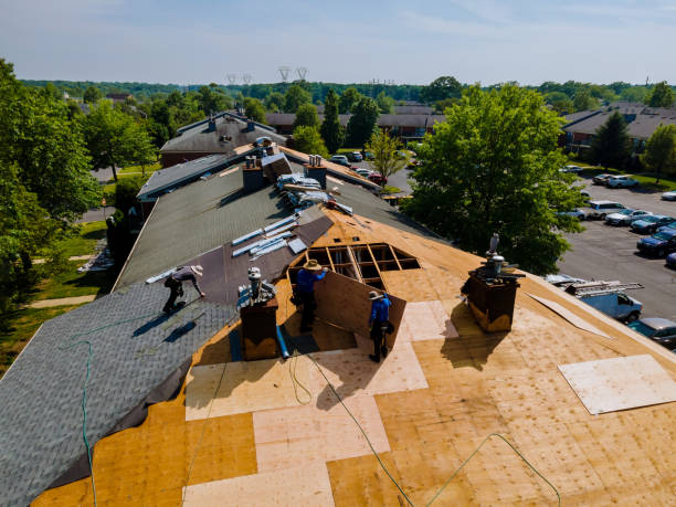 Best Roof Gutter Cleaning  in Gamewell, NC