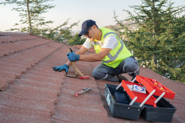 Roof Gutter Cleaning in Gamewell, NC